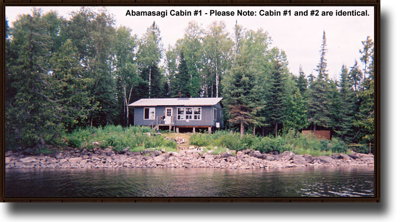 Cabin #1